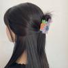 Penguin Cartoon Hair Claw Animals Acrylic Shark Clip Personalized Cute Rabbit Hair Grab  Streetwear