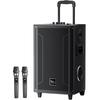 Newman N537 12-inch High Power Portable Karaoke Bluetooth Trolley Speaker