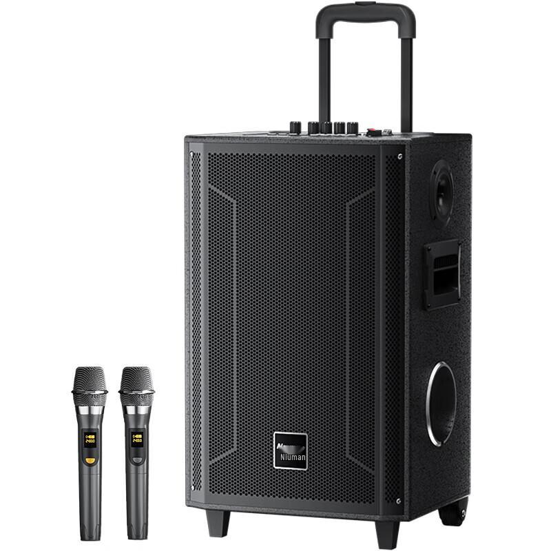 Newman N537 12-inch High Power Portable Karaoke Bluetooth Trolley Speaker