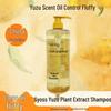 Syoss Oil Control & Volumizing Shampoo