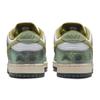 Nike Alexis Sablone x Dunk SB Low CHAMELEON Повседневные шорты-бордшорты мужские HJ3386-300