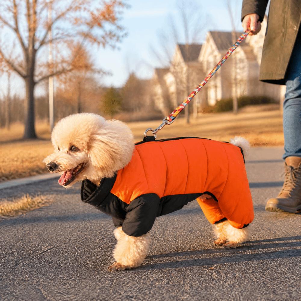 Windproof Dog Jumpsuit Coat Thicken Dog Four Legged Clothing Dog Down Jacket Autumn Winter