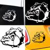 Cartoon Bulldog Head Car Vehicle Body Window Reflective Decals Sticker Decor