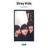 Stray Kids Я НЕ официальная фотокарточка
