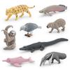 Crocodile Dolphin South American Animal Model Set Plastic Decor For Nature Enthusiasts