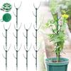 10 Pack Garden Plant Support Stakes Plant Support for Indoor Outdoor  Climbing Plants Holder Stick Moss Pole