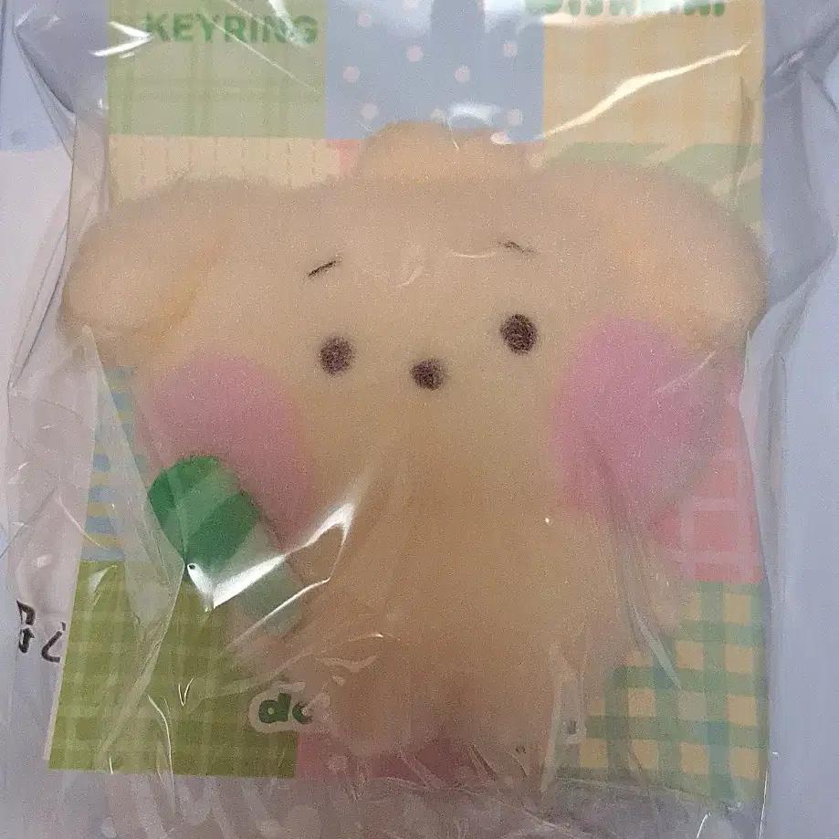 NCT (sealed Wish Jaehee Line Friends Daengtrinny Keyring