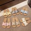 Soft-soled Cool Slippers for Women To Wear Summer New Beach Shoes with Skirt Flat Bottom One-word Drag