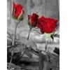 5D Алмазная картина Три красных розы Фотографии стразов Цветок Алмазная вышивка Крестиком Мозаика Распродажа Домашнее украшение Настенное искусство