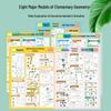 Animated Wall Chart for Elementary Geometry: Key Models for Grades 4-6
