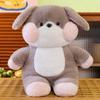 Rabbit Animal Dog Frog Cat Bear Dog Plush Toy Cartoon Stuffed Decoration Doll