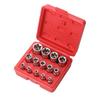 14PCS Female E-Torx Star Socket Set with Case 1/4, 3/8, 1/2 In. Drive External Star Socket Set E4-E24 Torque Socket Set