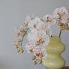 Single Branch Simulation Butterfly Orchid Moth Orchid Plastic Flower Bouquet  Home Decor