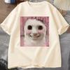 Goofy Ahh Cat T Shirt Meme Dank Cursed Weirdcore Cringey Tshirts Unisex Unisex I Got Too Silly Tshirt Huh Cat Memebn Crying Cat