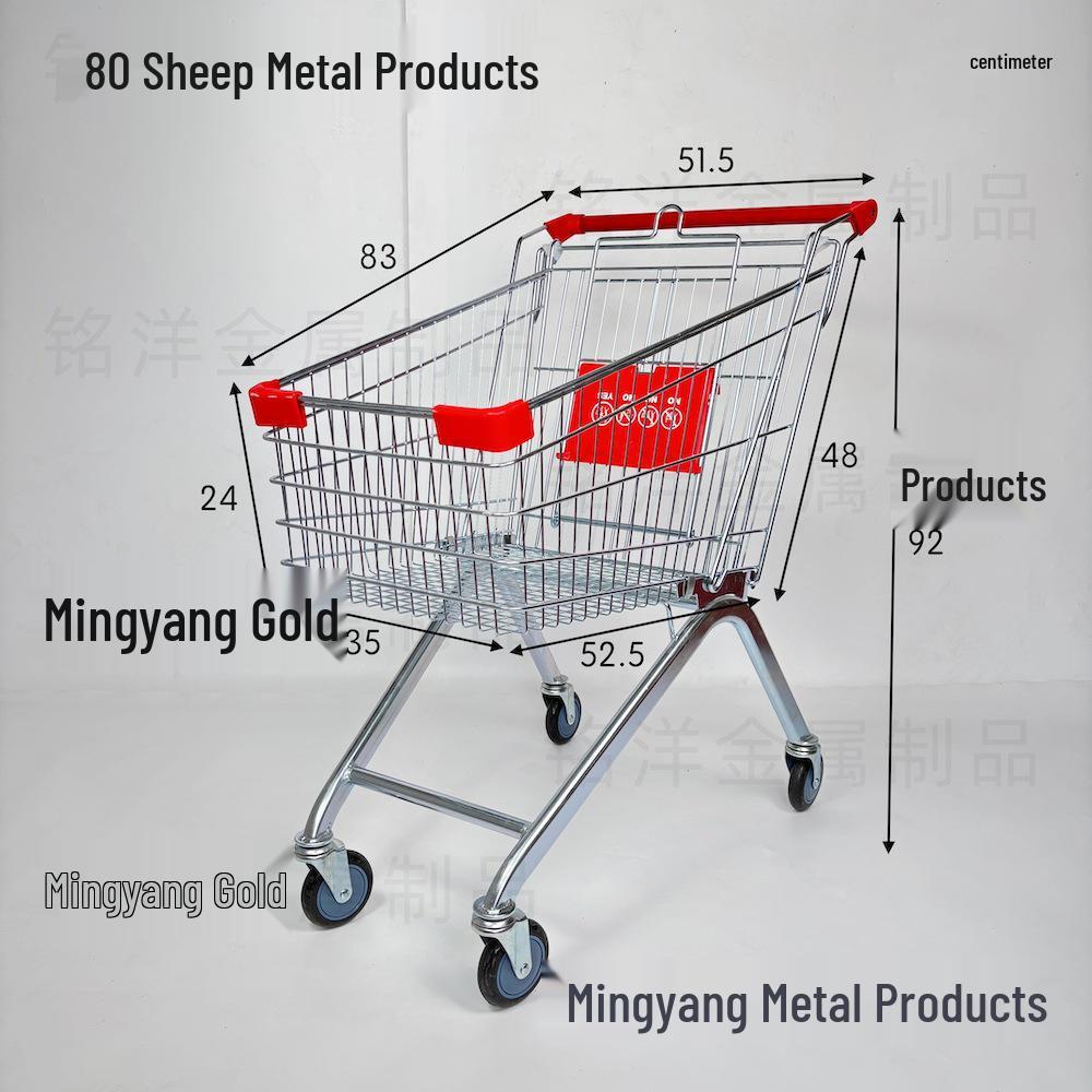 Multi-Purpose Shopping Cart for Home and Mall Use