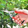 Stainless Steel Pruning Shears for Orchard and Garden