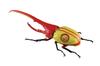 Free Research Series New Japan Pro Wrestling Edition Hercules Beetle Lion Mark Specification Plastic Model No.263