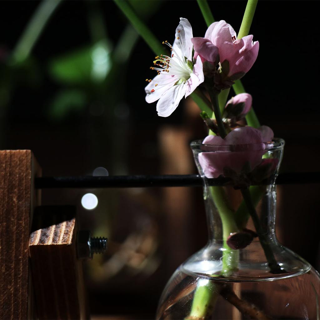 Винтажная деревянная рама ваза растение террариум с деревянной подставкой стеклянная ваза настольная стеклянная кашпо для