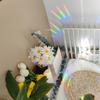 Sun Catcher PVC Self Adhesive Glass Window Stickers Cat Moth Energy Suncatcher Wallpaper Rainbow Prisms Sticker Sunlight Decals