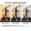 Hollywood Makeup Vanity Mirror Light Stick On Professional Adjustable 3 Colors LED USB Bulbs String Stepless Dimmable Lamp