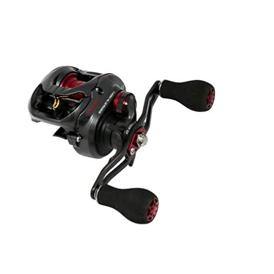 DAIWA Baitcasting Reel Spartan RT TW 100SH-L (Left Handle) 2016 Model