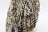 BH6767 HANSA Fish Owl 26 Blakiston's
