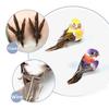 6PCS DIY Accessories Artificial Birds Mixed Color Artificial Bird Model  Garden Ornament