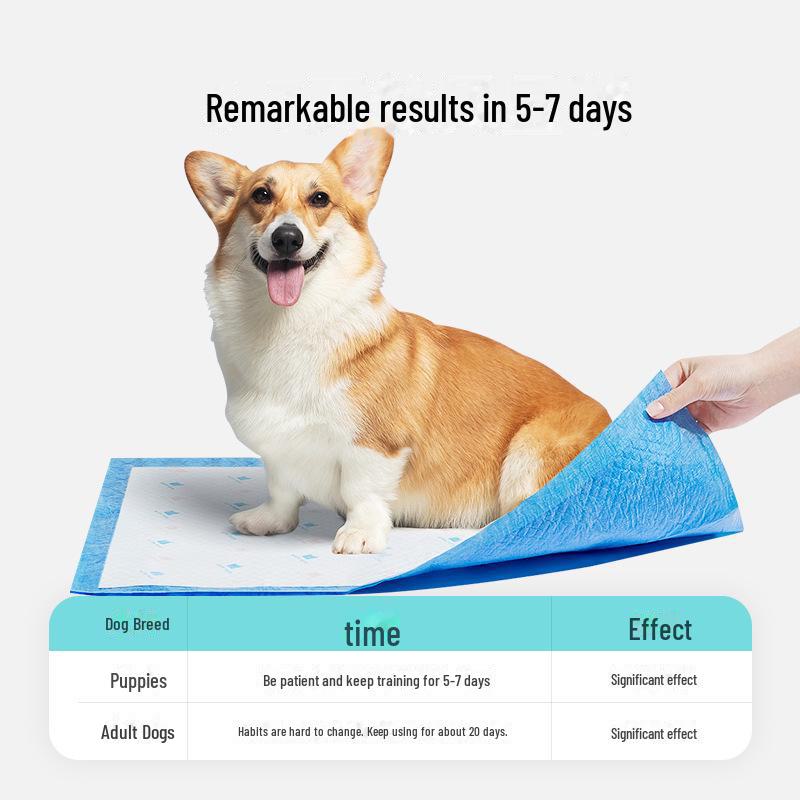 Dog Toilet Training Spray - Fixed Point Defecation Aid