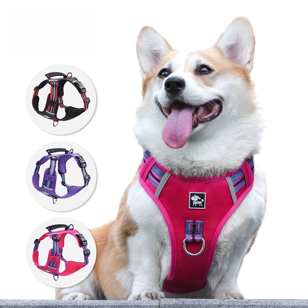Upgraded duplex chest back medium and large dog can lift chest strap French bucket corgi comfortable dog leash