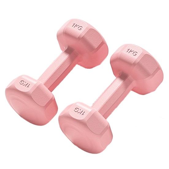 1 пара гантелей, набор гантелей, конструкция с защитой от перекатов, гантели 2-в-1 и штанга для отжиманий, 1 кг, гантели для дома, йоги, фитнеса, силовые тренировки, оборудование для тренировок