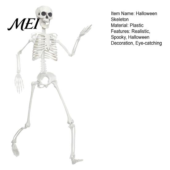 Life-like Skeleton Decoration 3ft Life Size Halloween Skeleton, Full Body Posable Plastic Prop, Realistic Poseable Prop Human Bones Model for
