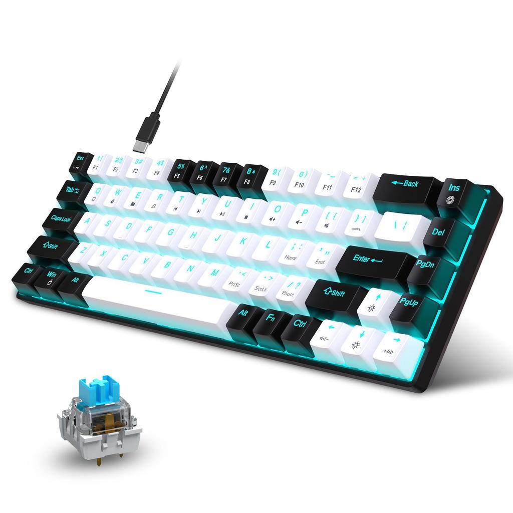 68-Key Wired Mechanical Gaming Keyboard with Hot-Swappable Blue Switches, Two-Color Keycaps, and Ice Blue Lighting