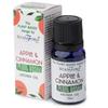 5x Apple Cinnamon Fragrance Oil