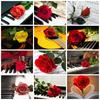 5D Краска С Бриллиантами Цветок DIY Алмазная Живопись Роза Мозаика Стразы Картины Стены Искусства Ремесла