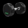 Professional Fixed Dumbbell - 25KG