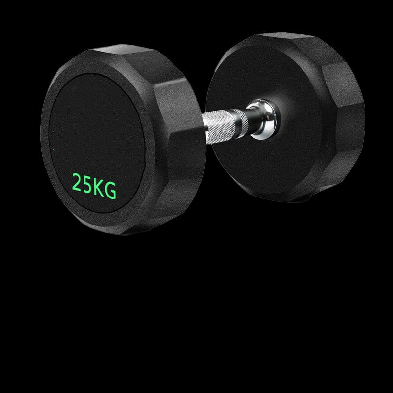 Professional Fixed Dumbbell - 25KG