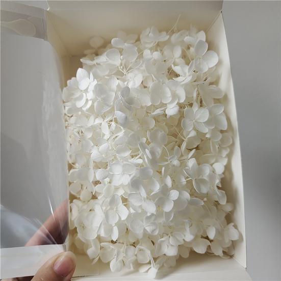 1 коробка цветных сухих цветов, изысканные натуральные реалистичные головки гортензии «сделай сам», свадебные сувениры