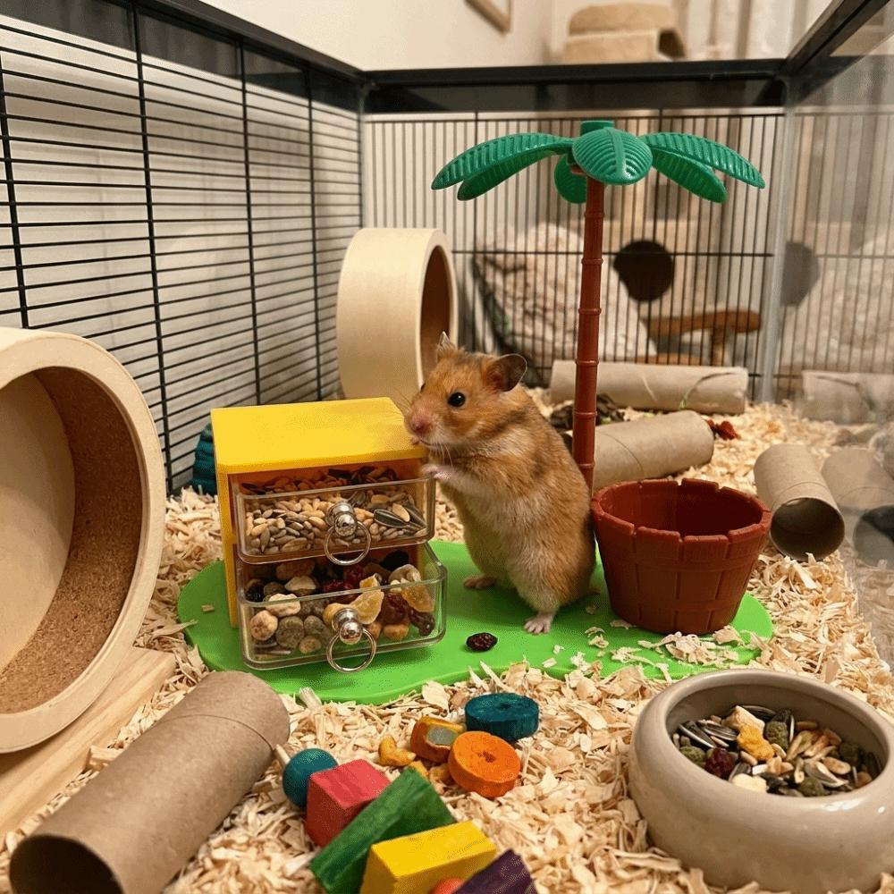 Puzzle Toy Hamster Food Box Wear-resistant Small Pet Feeder Hamster Foraging Toys Small Pet Birds