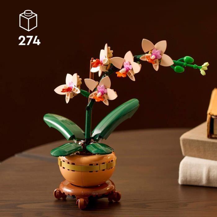 LEGO Botanicals 10343 L'orchidée miniature - Fleurs artificielles - Idée cadeau