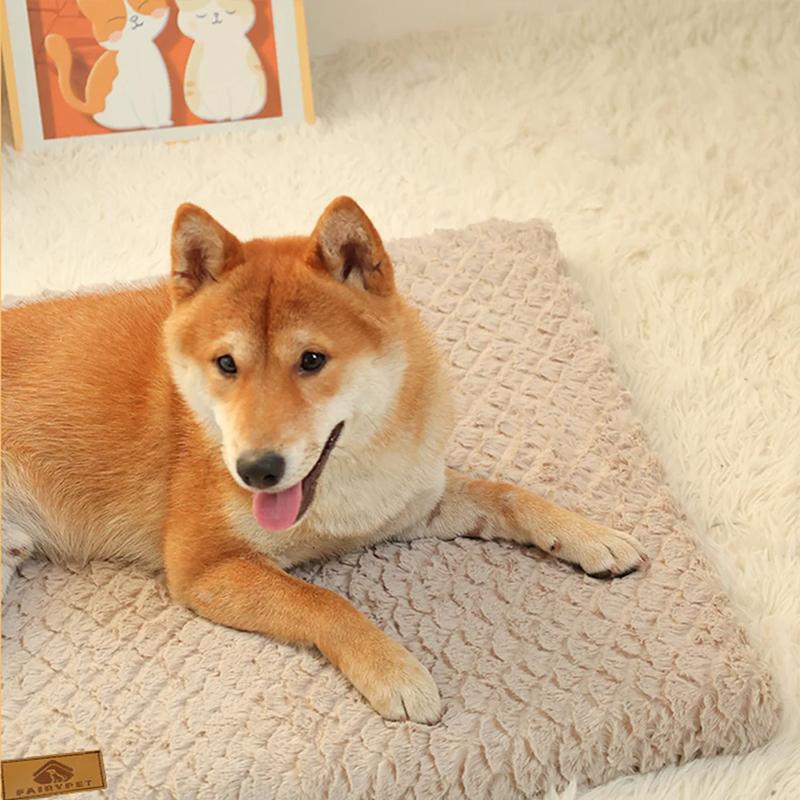 Pets Dogs Accessories Dog Bad Medium Bed Pet Products Big Mat Sofa Cushion Supplies Cushions Puppy Small Baskets Large Beds Cats