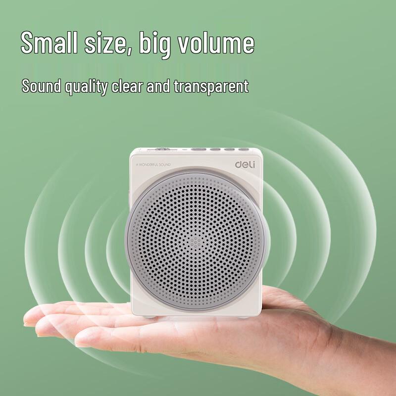 Deli LT910T 10W Wireless Portable Voice Amplifier CN plug (adapter included)