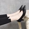 Pointed High Heels Women's 2025 Spring New Simple Temperament Thin Heel Shallow Mouth Single Shoes Professional Commuter Women's Work Shoes