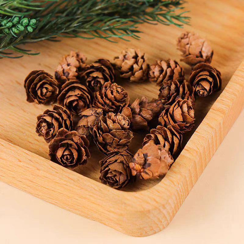 Mini Larch Flower & Pine Cones DIY Decoration Kit - Natural Dried Plant Materials for Creative Projects