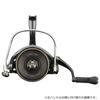 DAIWA 21 Surf Basia 45 06PE
