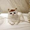 Имитация милого кота, украшения, модель, реквизит для фотосъемки, искусственное украшение в виде котенка