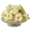 Tribute Chrysanthemum Chrysanthemum Chrysanthemum Tea Huangshan Tribute Chrysanthemum White Chrysanthemum Huangshu Chrysanthemum White Chrysanthemum