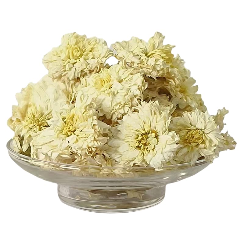 Tribute Chrysanthemum Chrysanthemum Chrysanthemum Tea Huangshan Tribute Chrysanthemum White Chrysanthemum Huangshu Chrysanthemum White Chrysanthemum