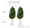 A&K Premium Preserved Sakaki Trees, Medium (1 Pair), Made in Japan, MKS-04M