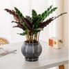Removable Flowerpot Plastic Office Bonsai Decor Fashion Mini Succulent Planter Tabletop Vase