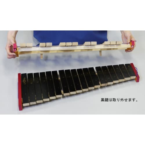Zen-On Tabletop Xylophone with Semitones, No. 181WA, Made in Japan